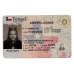 Texas Fake Dirvers Licence (2025 version)