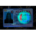 Alabama Fake Dirvers Licence