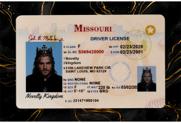 Missouri Fake Dirvers Licence