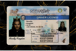 Nevada Fake Dirvers Licence