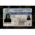 Nevada Fake Dirvers Licence
