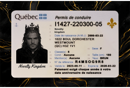 Quebec Fake Dirvers Licence