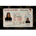 South Carolina Fake IDs