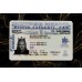 British Columbia Fake IDs