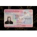 Employment Authorization Card (2026 Version)
